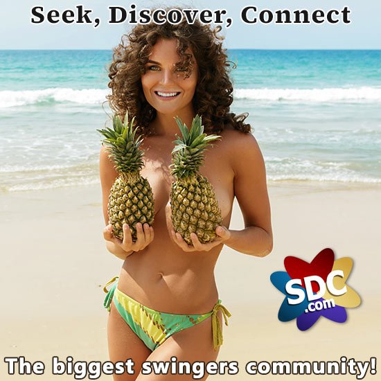 SDC.com